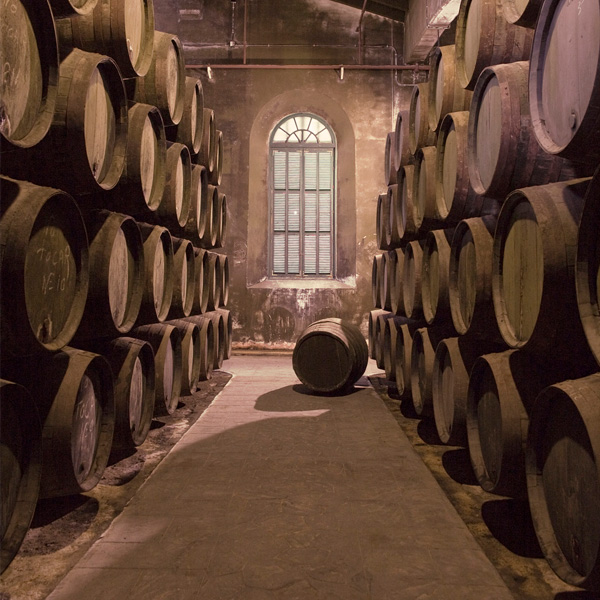 independencia_celler_experience.jpg