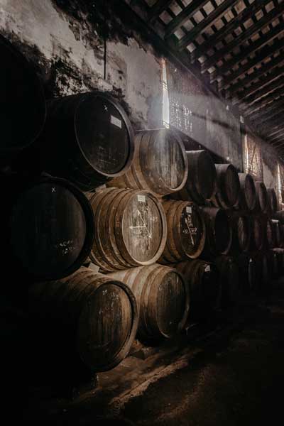 landing_experiencias_bodegas_enoturismo.jpg