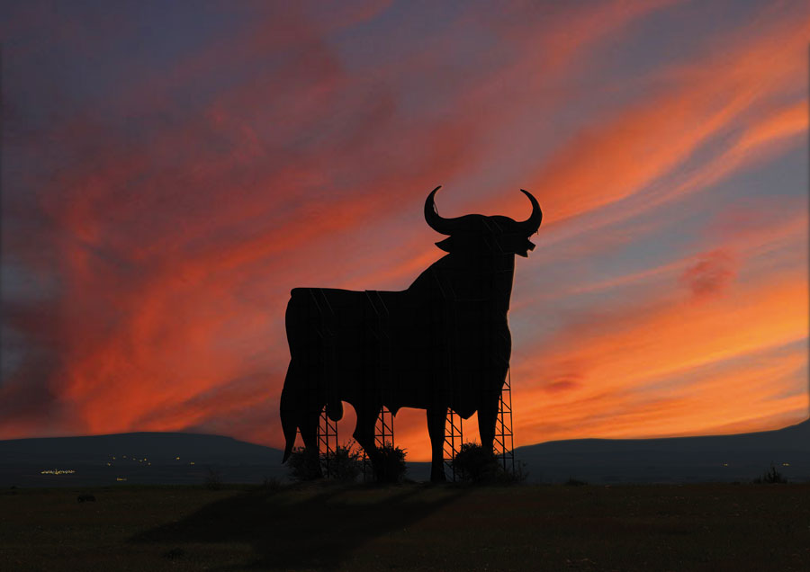 toro_de_osborne_distribuidor.jpg