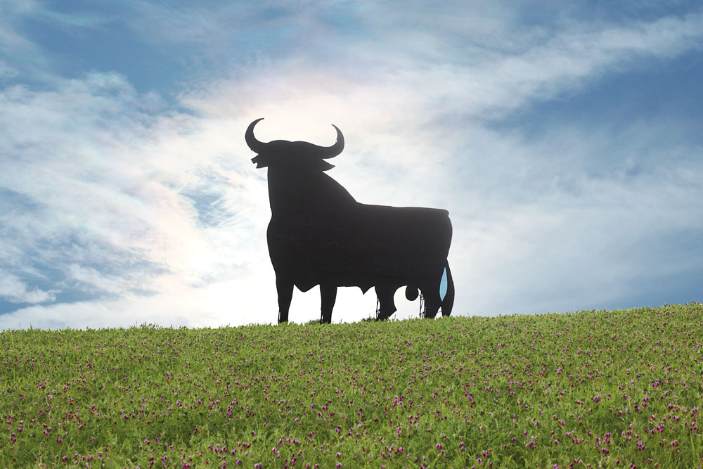toro_osborne_module_2.jpg