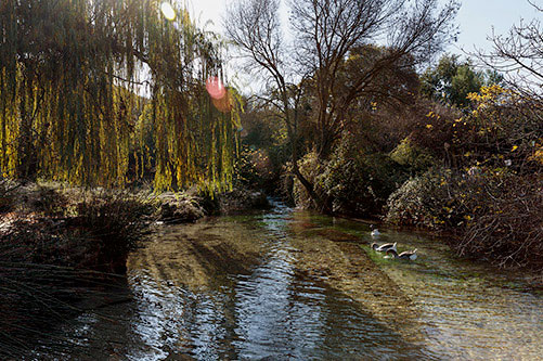 Primavera, naturaleza y Caviar Riofrío